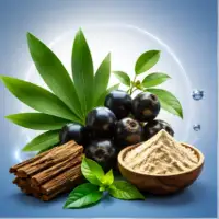 Antioxidant agents